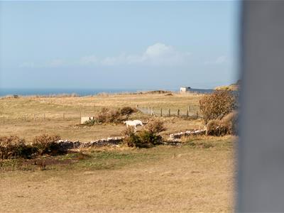 Picture 24